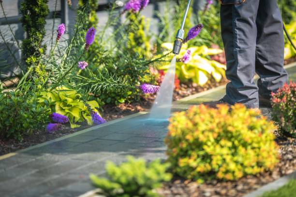 Best Restaurant Pressure Washing  in Ridgemark, CA