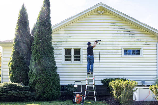 Best Sidewalk and Walkway Cleaning  in Ridgemark, CA